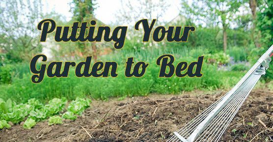 putting your garden to bed